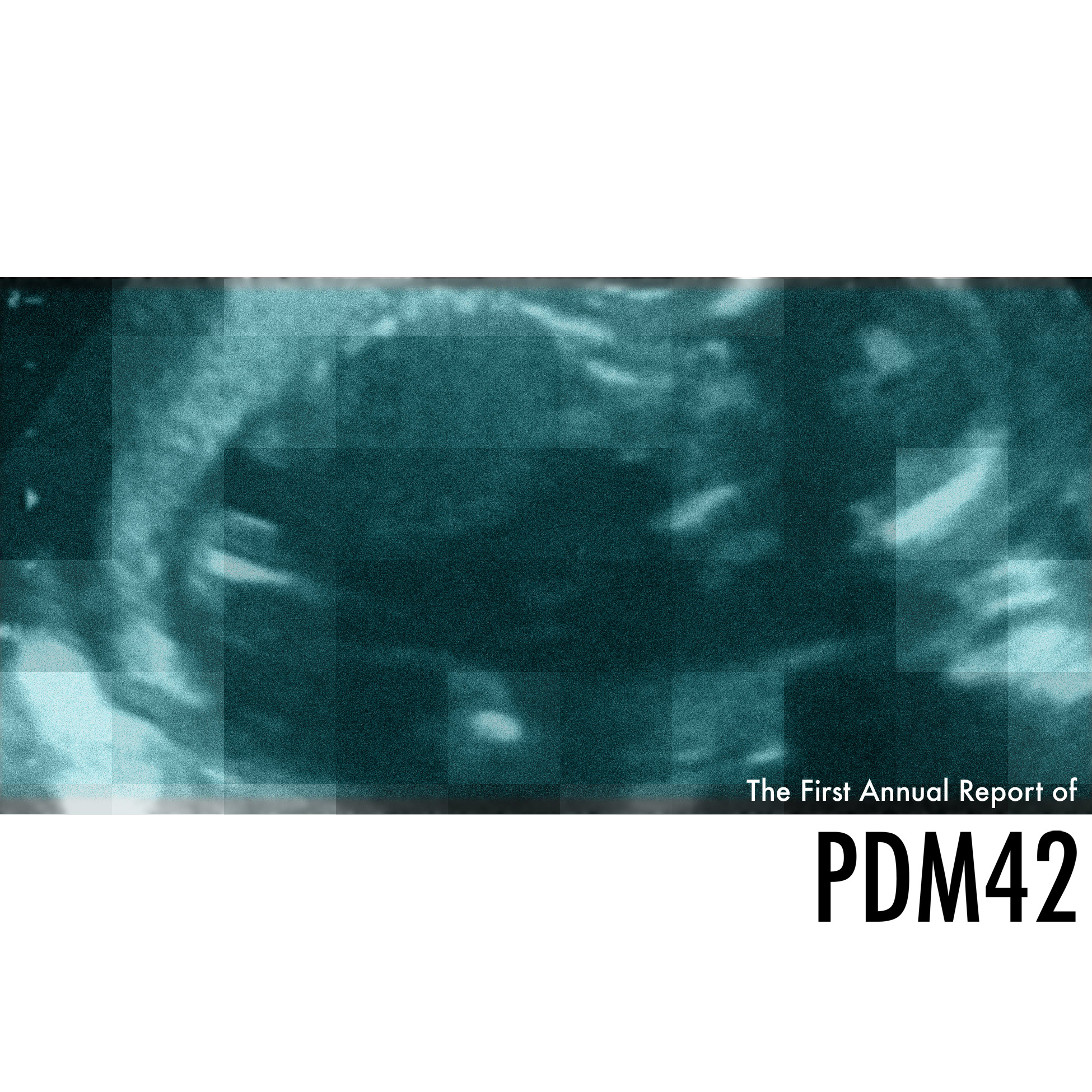 PDM42 album cover